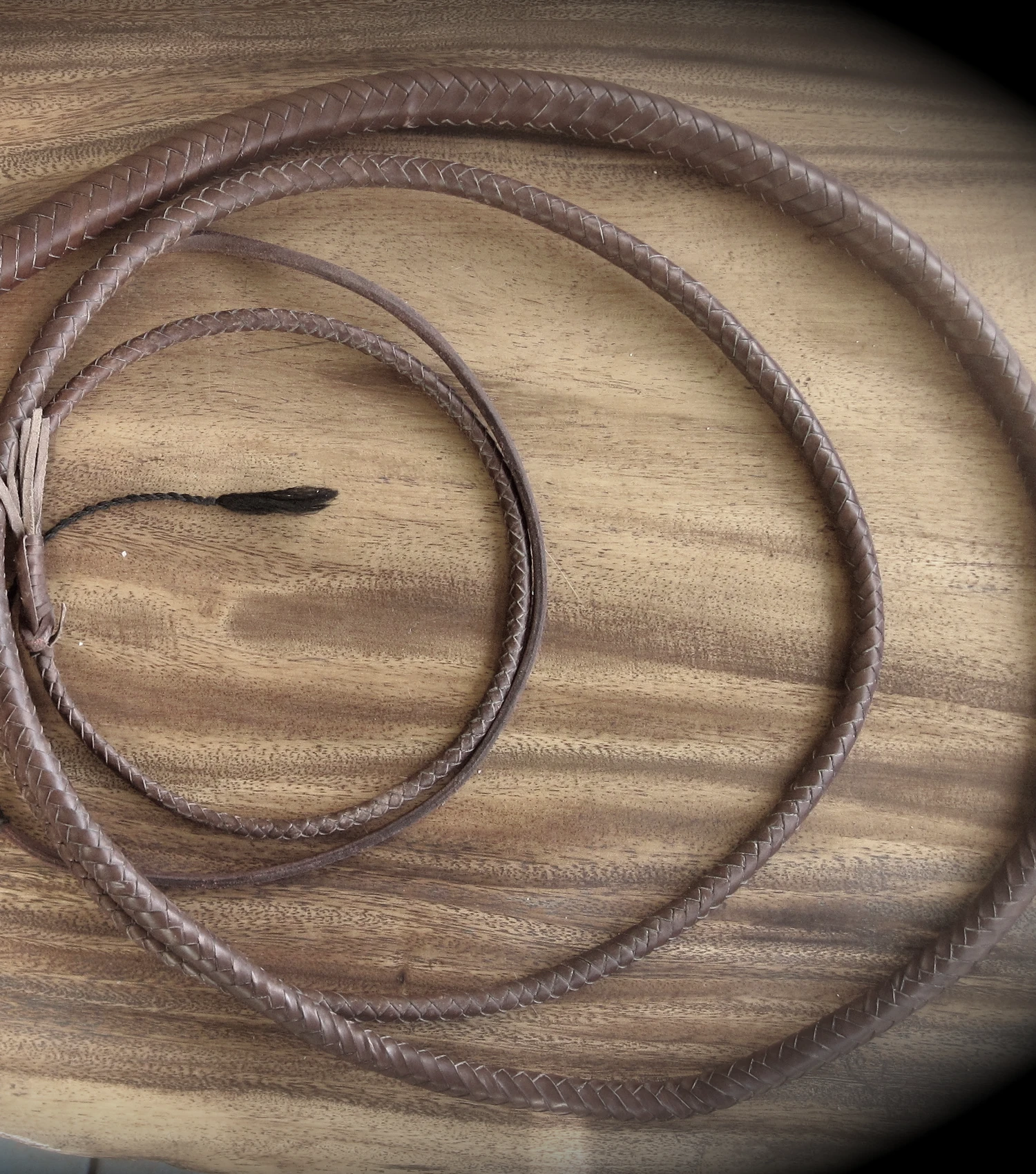 Close-up of a coiled leather bullwhip and its intricate hand-braided strands